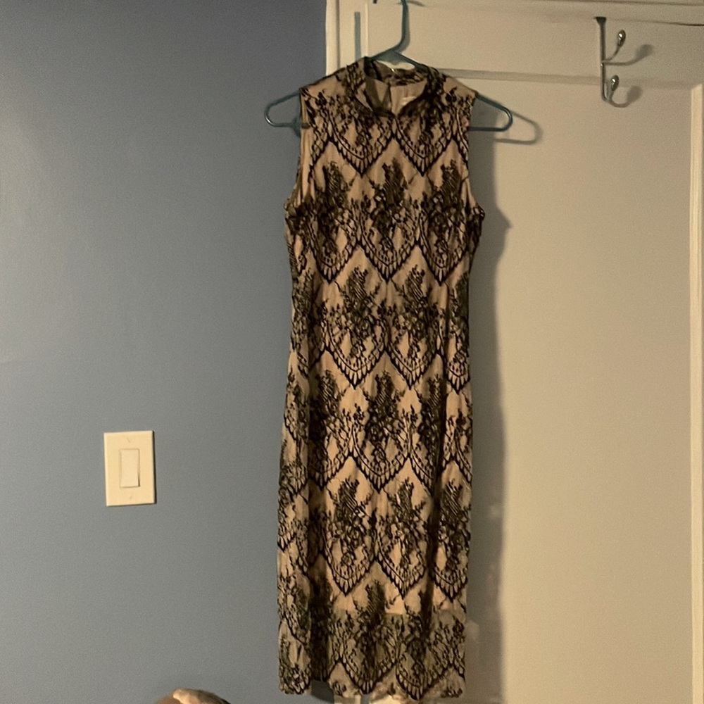 Eva Mendes cocktail dress. Nude lining with black lace overlay.